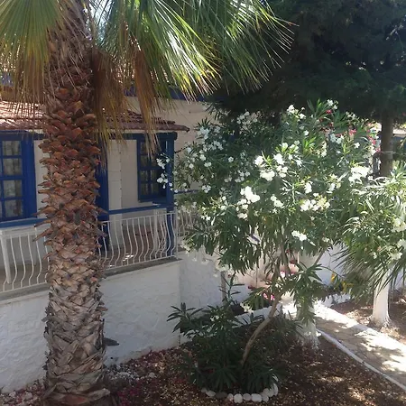 Delos Kaş