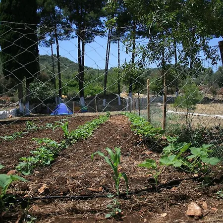 Frühstückspension Delos Kaş